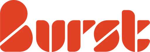 Burst logo